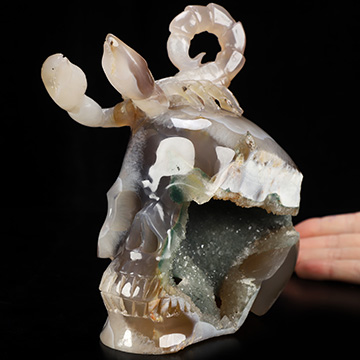 6.5" Agate Geode Hand Carved Crystal Skull and Scorpion Fine Art Sculpture, Crystal Healing