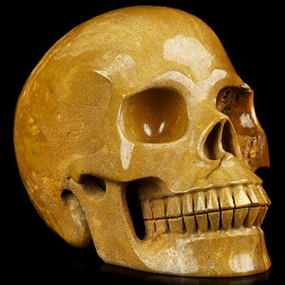 Lifesized 6.0" Indian Agate Hand Carved Crystal Skull, Realistic, Crystal Healing