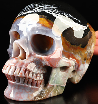 Lifesized 6.3" Black Zebra Agate Hand Carved Crystal Skull, Super Realistic, Crystal Healing
