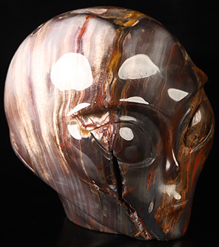 4.1" Petrified Wood Star Being Female Alien Crystal Skull Companion, Hand Carved Gemstone Fine Art Sculpture, Reiki Healing Stone Statue