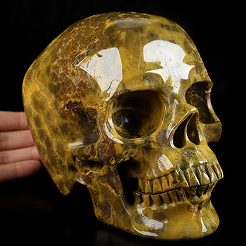 Lifesized 6.9" Ocean Jasper Hand Carved Crystal Skull, Super Realistic, Crystal Healing