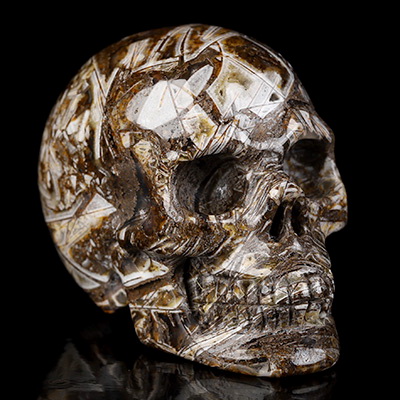 2.0" Tree Leaves Agate Hand Carved Crystal Skull, Realistic, Crystal Healing