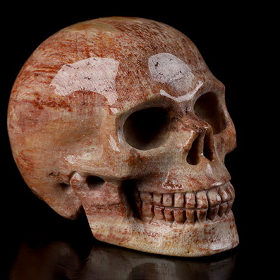 2.0" Petrified Wood Hand Carved Crystal Skull, Realistic, Crystal Healing