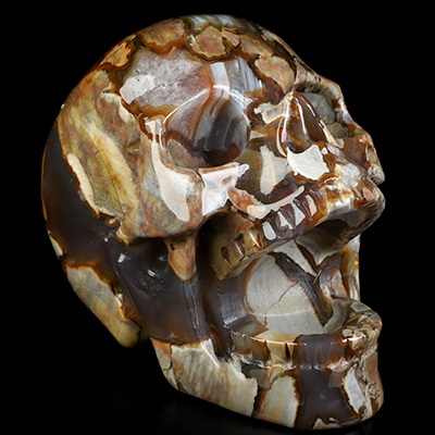 5.3" Dinosaur Egg Agate Hand Carved Laughing Crystal Skull Sculpture, Crystal Healing
