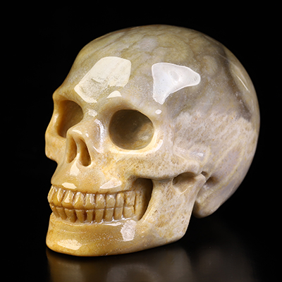 2.1" Coral Fossil Hand Carved Crystal Skull, Realistic, Crystal Healing