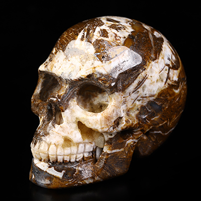 2.0" Tree Leaves Agate Hand Carved Crystal Skull, Realistic, Crystal Healing