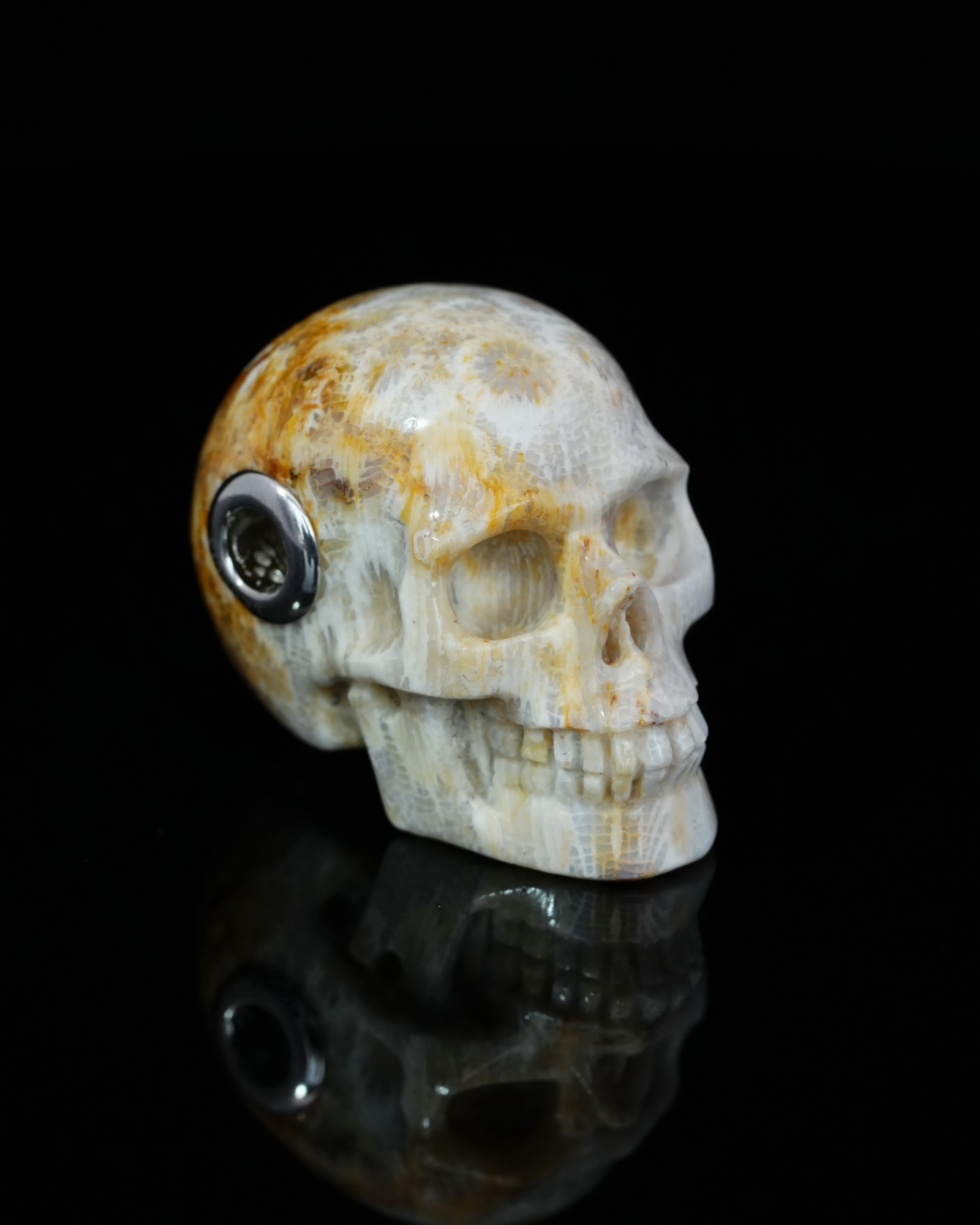 Necklace of 1.1" Coral Fossil Hand Carved Crystal Skull Pendant, Skull Jewelry