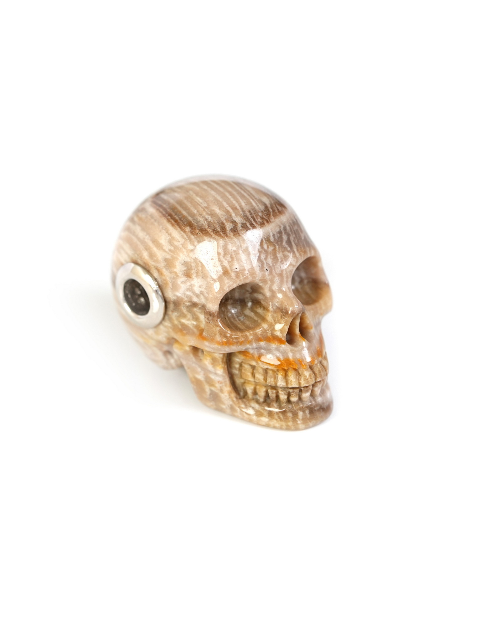 Necklace of 1.1" Coral Fossil Hand Carved Crystal Skull Pendant, Skull Jewelry