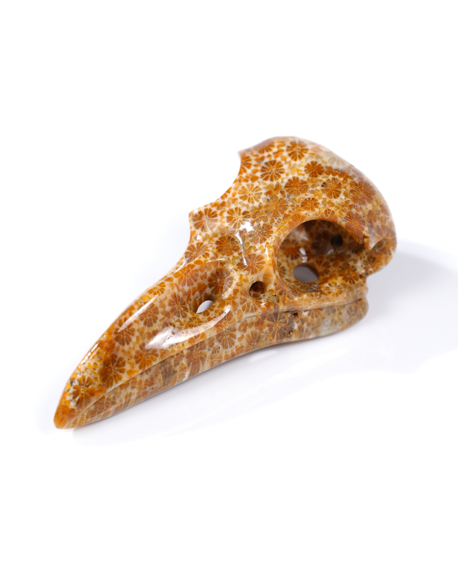 Necklace of 2.2" Coral Fossil Hand Carved Crystal Skull Pendant, Skull Jewelry