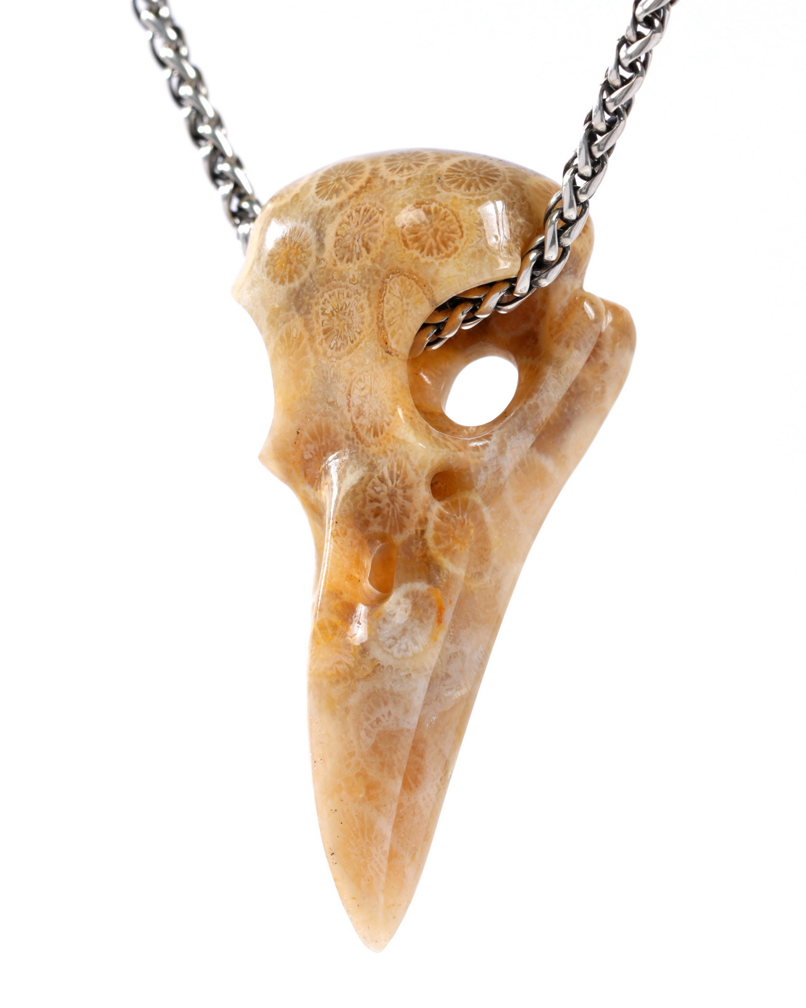 Gem Raven Skull Pendant Necklace of Coral Fossil Crystal Raven Pendant