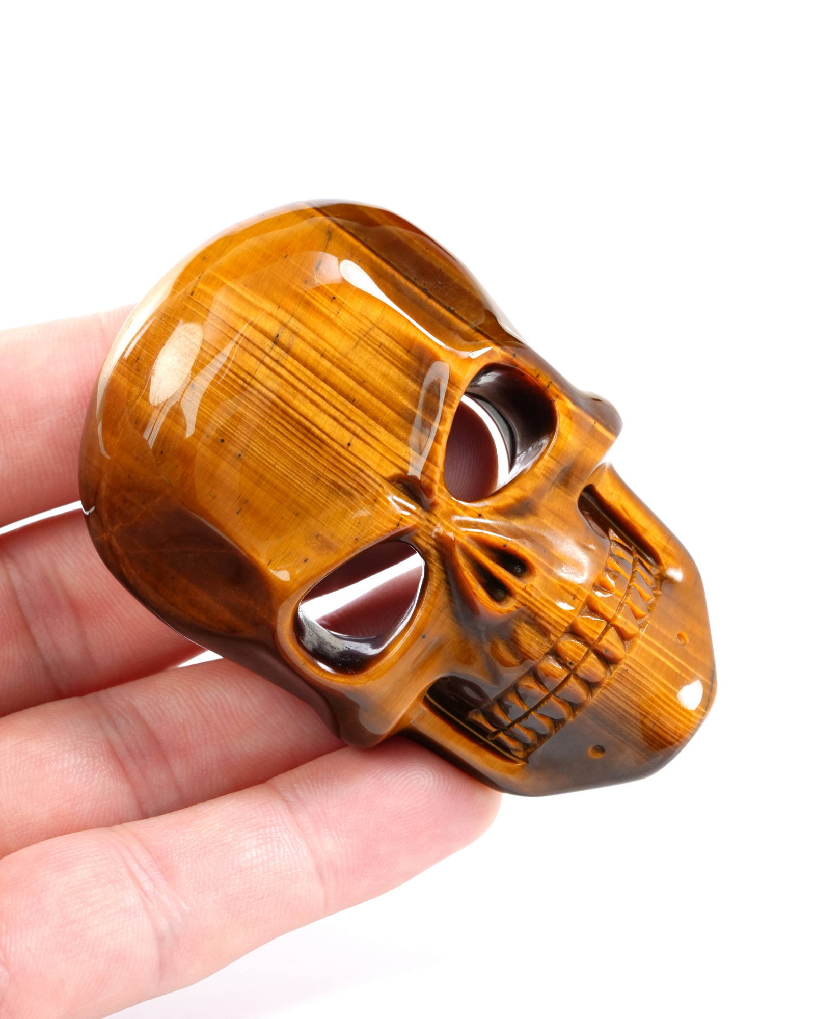 Gold Tiger's Eye Hand Carved Crystal Skull Buckle in 925 Sterling Silver, Skull Jewelry