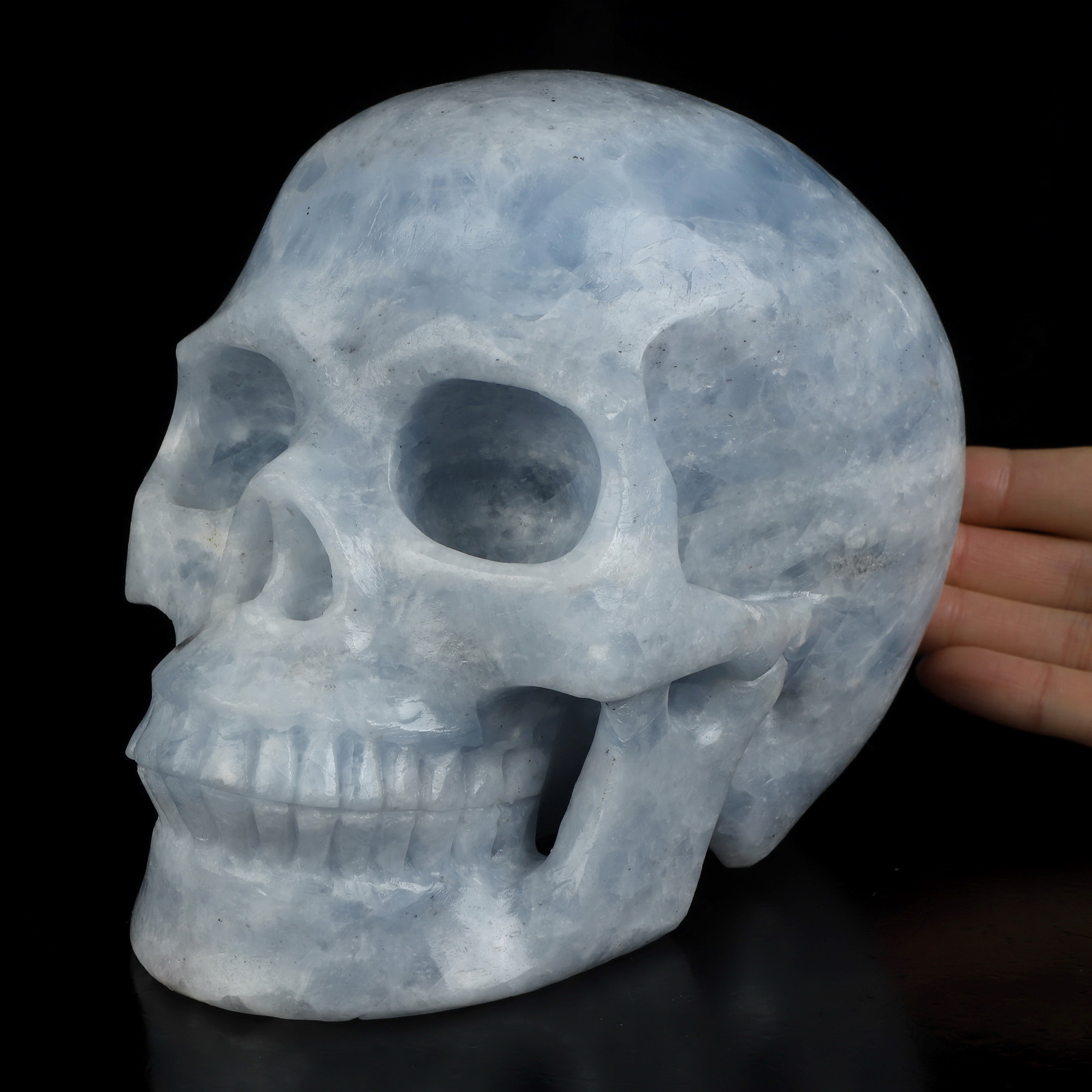 Lifesized 6.9" Blue Calcite Hand Carved Crystal Skull, Realistic, Crystal Healing