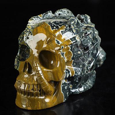 5.0" Ocean Jasper Hand Carved Crystal Skull and Facehugger Sculpture, Crystal Healing