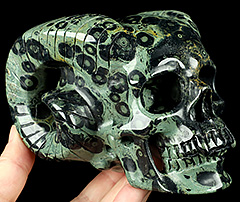 5.0" Kambaba Jasper Carved Crystal Horned Skull, Realistic, Crystal Healing