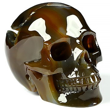 3.0" Premium Brazilian Agate Carved Crystal Skull, Crystal Healing