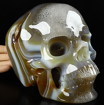 Lifesized 7.0" Premium Brazilian Agate Carved Crystal Skull,Super Realistic, Crystal Healing