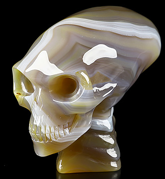 3.7" Premium Brazilian Agate Carved Crystal Elongated Mayan Alien Skull & Spine, Realistic