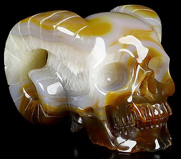 5.3" Premium Brazilian Agate Carved Crystal Horned Skull, Crystal Healing
