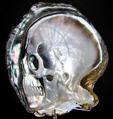 4.5" Black pearl shell Carved Crystal Skull