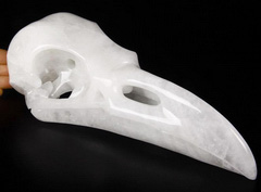 2.5LB Titan 9.5" Angolan Quartz Rock Crystal Carved Crystal Raven Skull