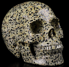 5.0" Dalmatian Jasper Carved Crystal Skull, Realistic, Crystal Healing