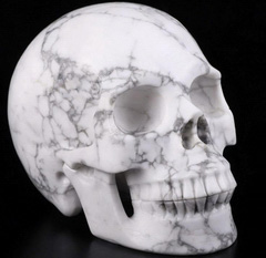 5.0" Howlite Carved Crystal Skull, Realistic, Crystal Healing