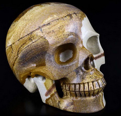 5.0" Picture Jasper Carved Crystal Skull, Realistic, Crystal Healing