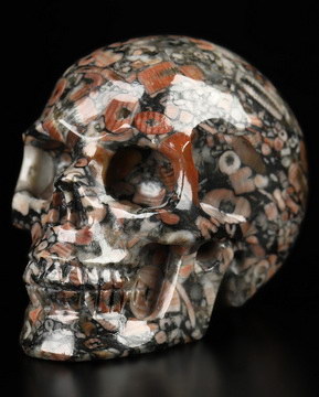 2.0" Crinoid Fossil Hand Carved Crystal Skull, Realistic, Crystal Healing