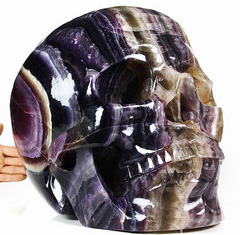 Titan 15.6"/110.6LB Fluorite Carved Crystal Skull, Super Realistic