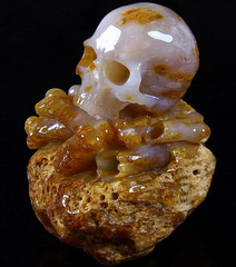 Jun 3, 2014 ACSAD (A Crystal Skull a Day) - Davy Jones - Fossilized Coral Fossil Carved Crystal Skull Sculpture