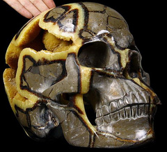 Mar 18, 2015 ACSAD (A Crystal Skull a Day) - The Shaper - Dragon Septarian Stone Geode Titan Carved Crystal Skull Sculpture