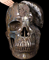 Stunning Unique Geode Giant 16.9" DINOSAUR EGG AGATE Carved Crystal Skull