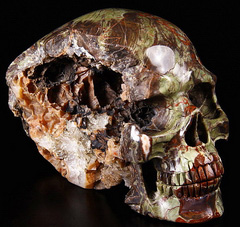 Jun 20, 2014 ACSAD (A Crystal Skull a Day) - Wisdom of the Skull - Morris Jasper Geode Carved Crystal Skull Sculpture