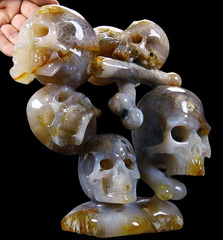 Mar 21, 2015 ACSAD (A Crystal Skull a Day) - All Hands Ahoy - Coral Fossil Carved Crystal Skulls Sculpture