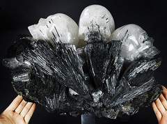 May 20, 2015 ACSAD (A Crystal Skull a Day) - Consciousness Expanding - Tourmaline and Quartz Carved Crystal Skulls Sculpture with Stand