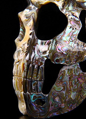 Jun 25, 2014 ACSAD (A Crystal Skull a Day) - Phantom Skull - Abalone Shell Mother of Pearl Carved Crystal Skull Sculpture