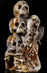 Feb 12, 2015 ACSAD (A Crystal Skull a Day) - Wisdom Through Experience - Petrified Wood Carved Crystal Skulls with Owl and Bones Sculpture