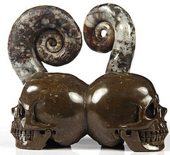 July 25, 2014 ACSAD (A Crystal Skull a Day) - Soul Mates - Lituites Fossil Pair Carved Crystal Skull Sculpture