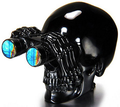 July 10, 2014 ACSAD (A Crystal Skull a Day) - Looking to the Future - Black Obsidian Carved Crystal Skull and Binoculars with Labradorite Lenses Sculpture