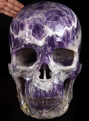 Aug 1, 2014 ACSAD (A Crystal Skull a Day) - Purple Skull King - Titan Amethyst Super Realistic Carved Crystal Skull Sculpture