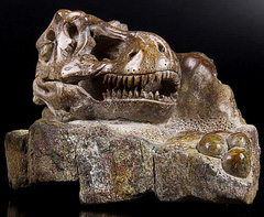 Aug 28, 2014 ACSAD (A Crystal Skull a Day) - The Lost Kingdom - Sauropoda Dinosaur Bone Fossil Tyrannosaurus Rex Carved Crystal Skull Sculpture