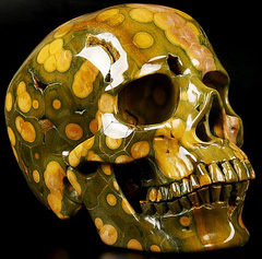 Sept 20, 2014 ACSAD (A Crystal Skull a Day) - Skull of One Thousand Eyes - Ocean Jasper Carved Crystal Skull Sculpture