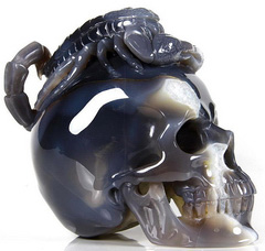 Jan 21, 2015 ACSAD (A Crystal Skull a Day) - The Emperor Waits - Geode Agate Carved Crystal Skull and Scorpion with Black Onyx Eyes Sculpture