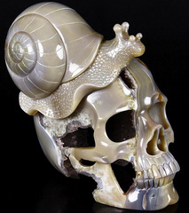 Jan 20, 2015 ACSAD (A Crystal Skull a Day) - Stop and Eat the Roses - Amethyst Agate Geode Carved Crystal Skull & Snail Sculpture, Realistic