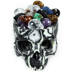 Huge 7.0" Sea Shell Marble Carved Crystal Skull Bowl Sculpture