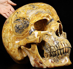 (38.4LB )Feb 3, 2015 ACSAD (A Crystal Skull a Day) - Faly Goavana - Titan Crazy Lace Agate Carved Crystal Skull Sculpture