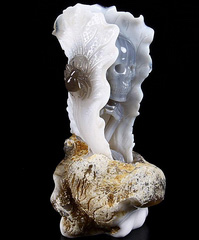 Feb 2, 2015 ACSAD (A Crystal Skull a Day) - Visitors in the Garden - Agate Carved Crystal Skull in Leaves with Spider with White Chalcedony Stand Sculpture