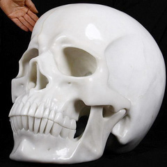 (330.4LB)Apr 11, 2015 ACSAD (A Crystal Skull a Day) - Jupiter - Titan White Jade Carved Crystal Skull Sculpture
