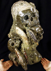 May 23, 2015 ACSAD (A Crystal Skull a Day) - Union of Souls - Ammonite Fossils Carved Crystal Skull Sculpture