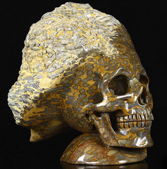 May 6, 2015 ACSAD (A Crystal Skull a Day) - Mermaid - Petrified Coral Fossil Carved Crystal Skull Sculpture